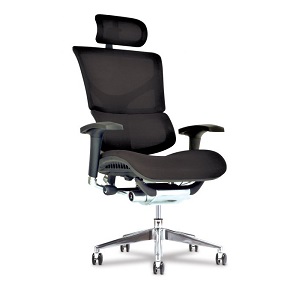  X-Chair X3 Management Office Chair, Black A.T.R. Fabric with  Headrest - High End Comfort Chair/Dynamic Variable Lumbar Support/Floating  Recline/Highly Adjustable/Durable/Executive Office Desk Seat : Everything  Else